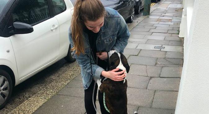 Dog walker, carer and lover in central Brighton, dog sitter in Brighton