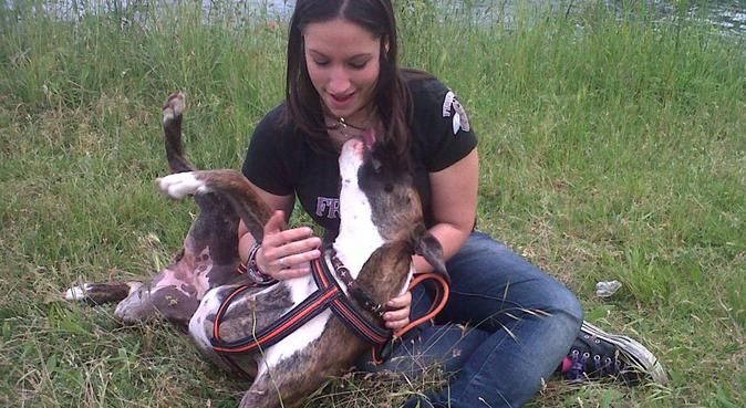 Animali: la mia passione più grande., dog sitter a Mulazzano, LO, Italia