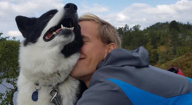 Erfaren hundeelsker søker turkamerat!, hundepassere i Trondheim