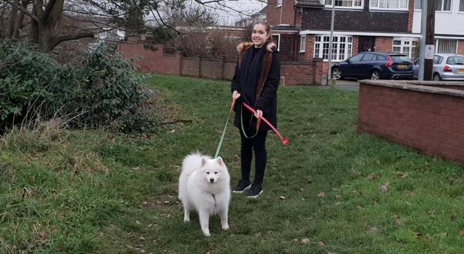 Playful and Exciting Dog Walking in North London, dog sitter in Enfield