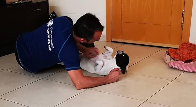 Atico familiar muy acogedor, dog sitter à Nueva Andalucía