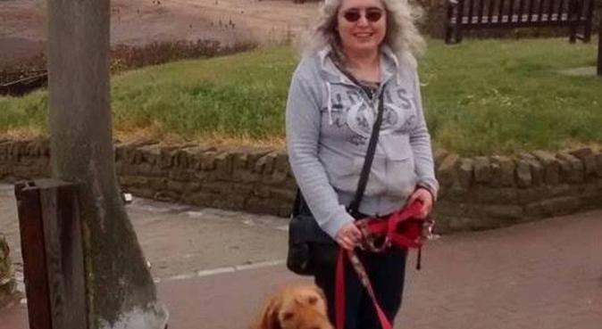 Accredited dog trainer now offering solo walks, dog sitter in Sheffield