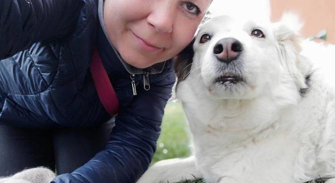 Vita da cani...felici!, dog sitter a Mediglia, MI, Italia