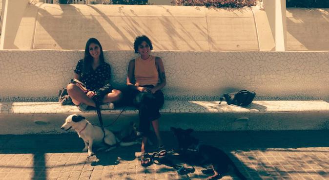 Good vibes and love to your dog and cat., canguro en Valencia