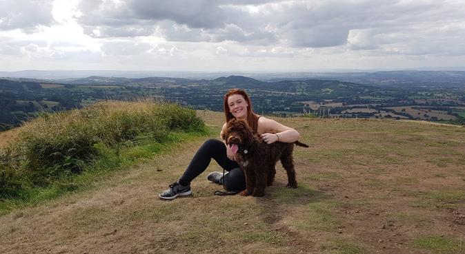 Animal lover for dog walks and dog sitting :), dog sitter in Great Malvern
