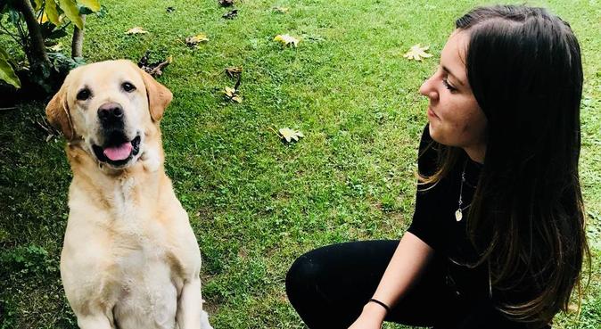 Passeggiate e coccole senza sosta 🐾🐕, dog sitter a San Giovanni Lupatoto
