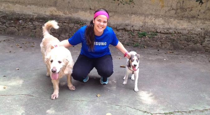 Creando sonrisas por paseos y juegos, dog sitter in Benalmadena Costa