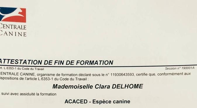 DIPLOME CERTIFIÉ: JE PARLE CHIEN!, hundvakt nära Paris, France