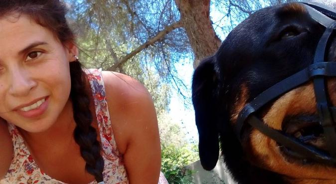 Veterinaria paseadora de perros (título en trámite, dog sitter a Palma De Mallorca