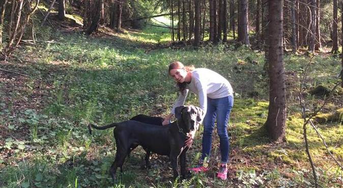 Dog lover looking for a walking buddy, hundvakt nära Örebro