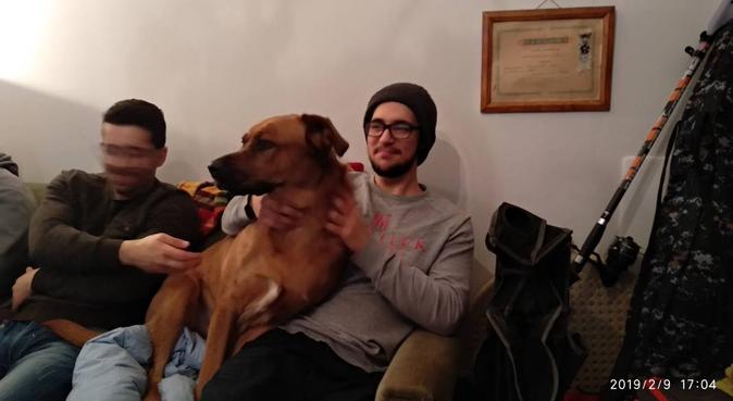 Dog Care genova, dog sitter a Genova