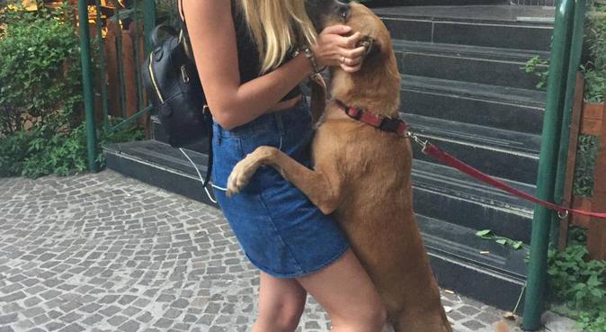 Passeggiate e coccole cosa chiedere di più?, dog sitter a Roma