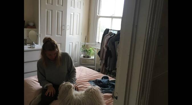 V.I.P | Very Important Poochfessional, dog sitter in Brighton