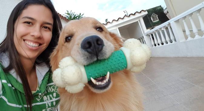 El mejor paseo y cuidado para tu mascota!, dog sitter in Vilanova i la Geltrú, España
