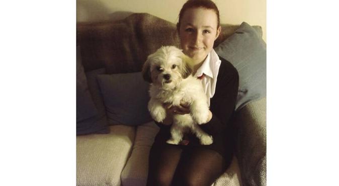 Furry friend needed for walking partner, dog sitter in Cardiff