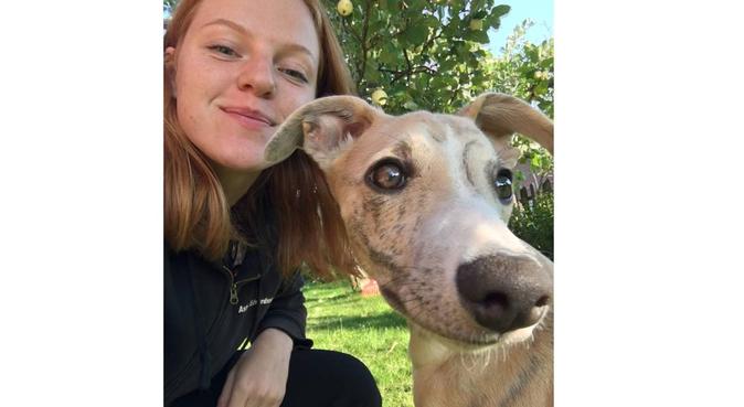 Hundälskare vill passa hund i Linköping, hundvakt nära Linköping