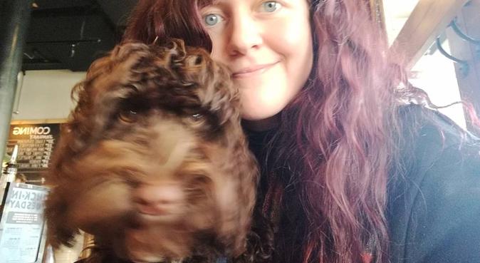 Dog lover needing a pooch to give all my attention, dog sitter in Bristol