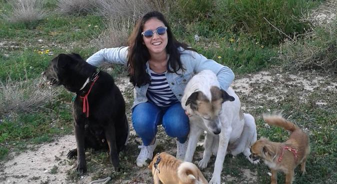 MARINA DOG ALICANTE!, canguro en Alicante