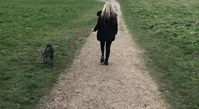 Dog walker and lover, dog sitter in Nottingham