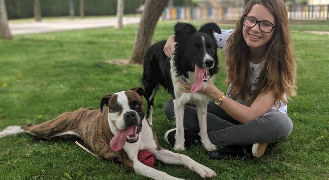 Paseo divertidos para los perrunos, dog sitter in Madrid, España