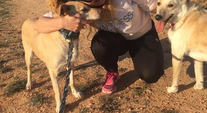 Paseos con cariño!, dog sitter in Benidorm, España