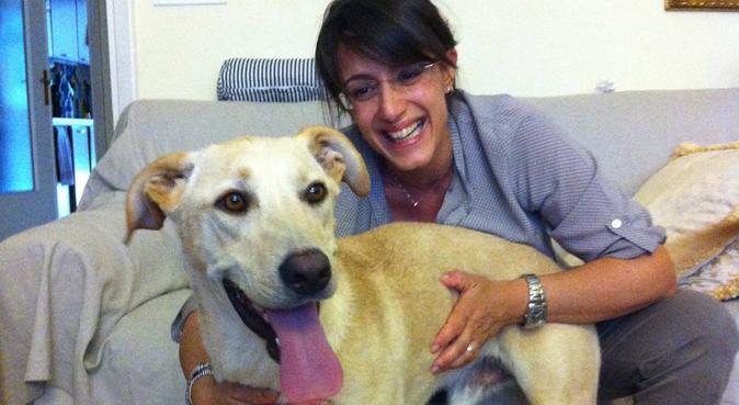 Errare è umano, perdonare è canino!, dog sitter a Torino