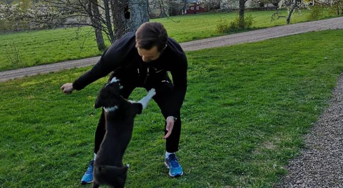 Djurälskande personer redo för hundpassning, hundvakt nära Linköping