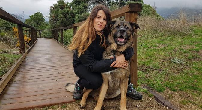 Adiestramiento Canino y Paseos, dog sitter in Madrid
