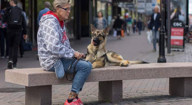Promenader, lek och bus och aktiviteter, hundvakt nära Karlstad