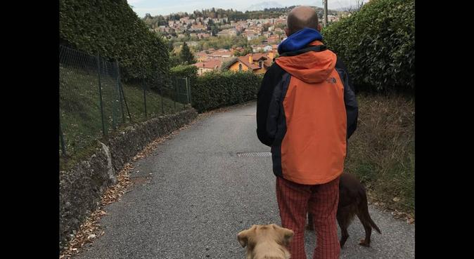 Dog Sitter di fiducia, dog sitter a Varese