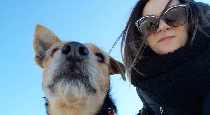 Affidabilità serietà e tanto amore...per fido!!, dog sitter a Termoli, CB, Italia