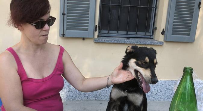 Coccole mi di sgambettate bacioni, dog sitter a Pavia, PV, Italia