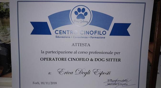 Dog sitter e operatore cinofilo qualificata, dog sitter a Casalecchio di Reno, BO, Italia