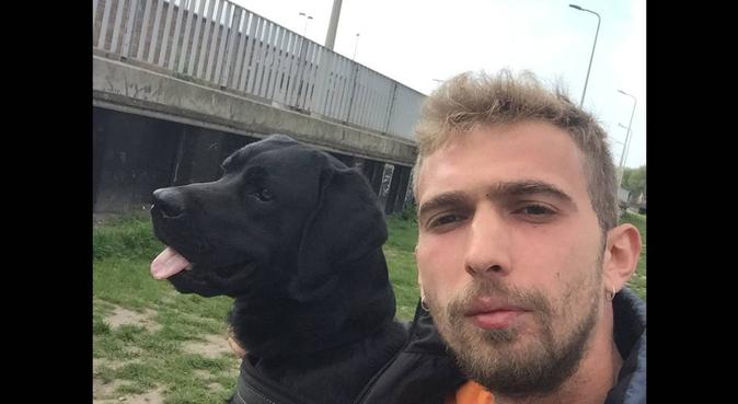 Dog walk-Uitlaat in Den haag Zuid, hondenoppas in Den Haag
