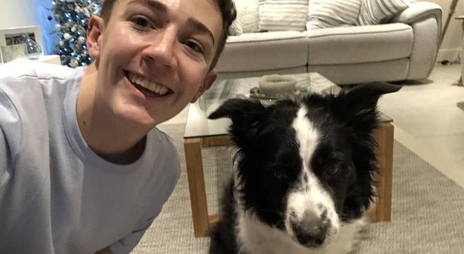 Uni Student who misses doggies!, dog sitter in Norwich, UK