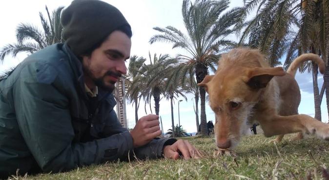 Diversión para tu perro, tranquilidad para ti, canguro en Valencia, España