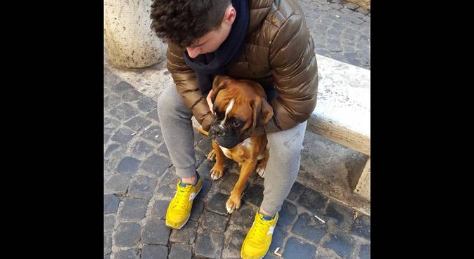 Passeggiate,divertimento con il migliore amico dei, dog sitter a Roma