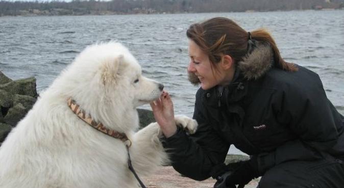 Kärleksfull och aktiv hundpassning i Karlskrona, hundvakt nära Karlskrona