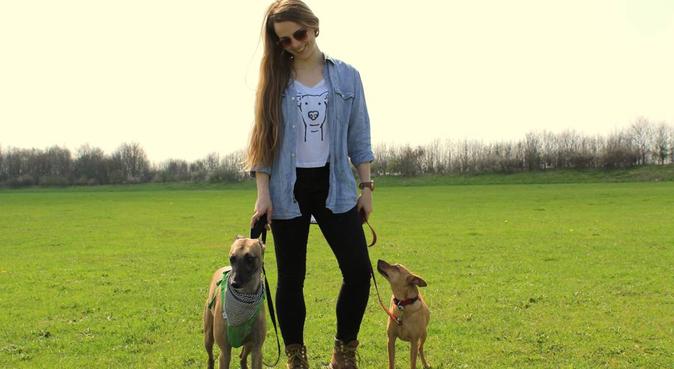 Experienced dog walker/sitter at your disposal :), dog sitter in Woking