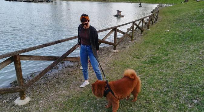 Tante allegre passeggiate!, dog sitter a Bologna