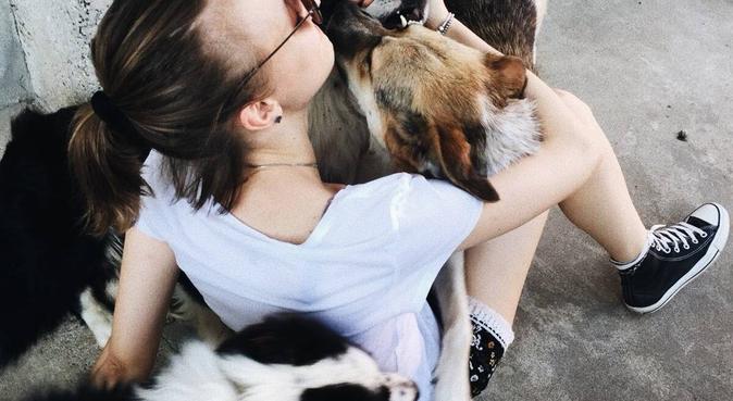 Passeggiate e tanto amore per i vostri cani 🐶, dog sitter a Ceparana, La Spezia