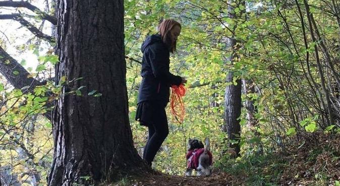 Student som gärna hjälper till med er hund, hundvakt nära Lund, Sverige
