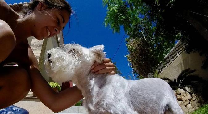 ¡Apasionada del mundo canino!, canguro en Reus, España