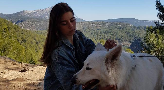 Sortie idéal pour se dégourdir les pattes à Aix, dog sitter à Aix-en-Provence, France
