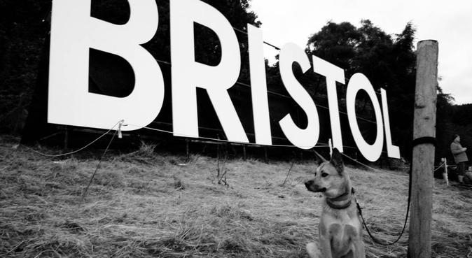 Howard's Bristol Walkabouts, dog sitter in Bristol