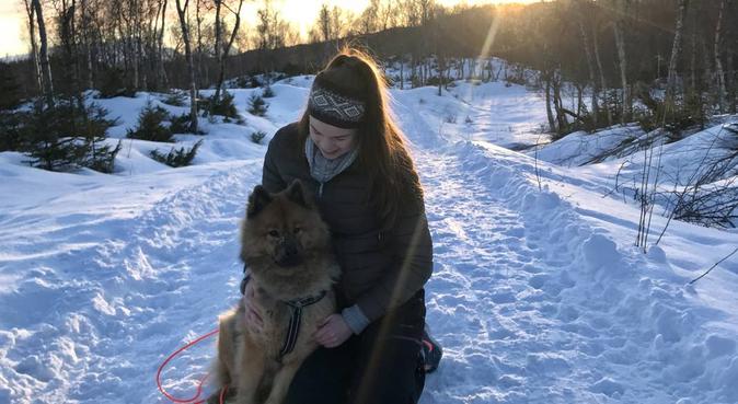 Turglad jente søker en sprek firbent, hundepassere i Bodø
