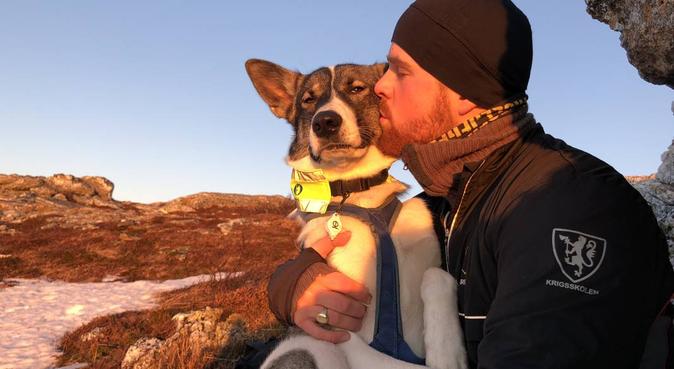 Ansvarsfull turkamerat til din hund, hundepassere i Bodø