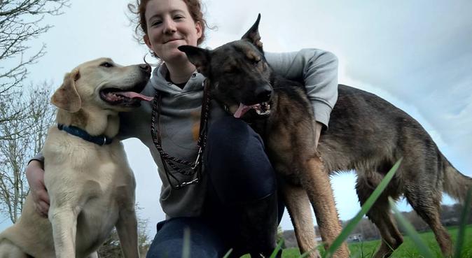 Experienced and Active Dog Lover, dog sitter in Newport