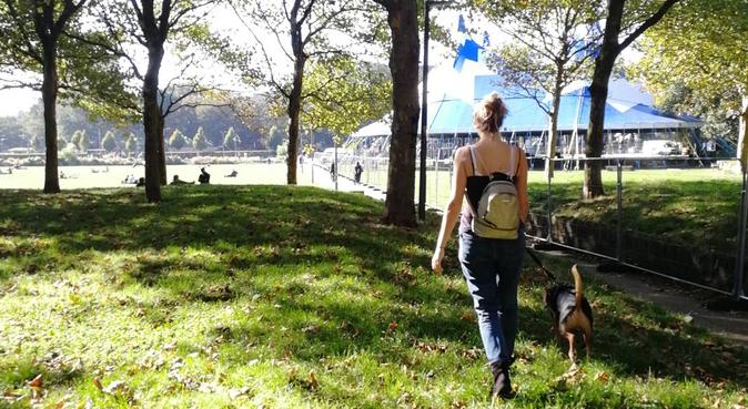 Energetic, caring & responsible dog walker!, dog sitter in London