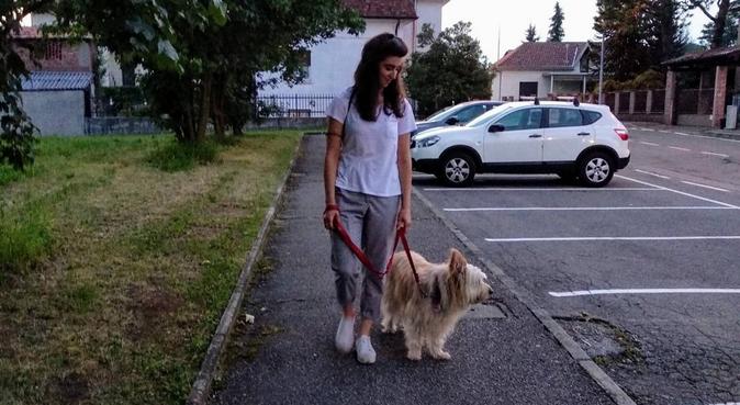 Amore per gli animali!, dog sitter a Locate Varesino